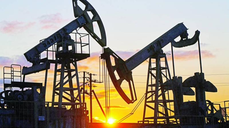 ������ ����� ����� �� ����� ������ ��� ������ ������ �� ���� ����