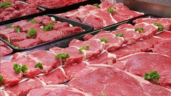 ����� ������ ����� ������� 26 / 1 / 2026 �� �������