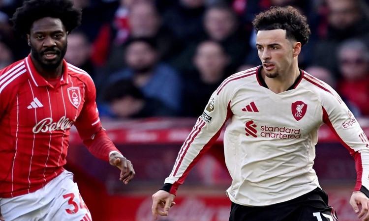 ������ ������� ����� ������ 26 / 2 / 2026 �������� �������