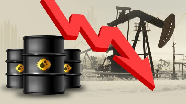 ����� ����� ����� ��� ���� ���� ������ 4 ����