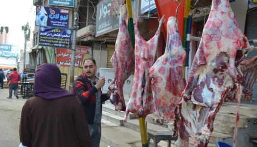 ����� ������ ����� �������� 24 / 3 / 2026 �� �������