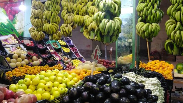 ����� �������� �������� ����� ������ 29 / 1 / 2026 �� ��� ������