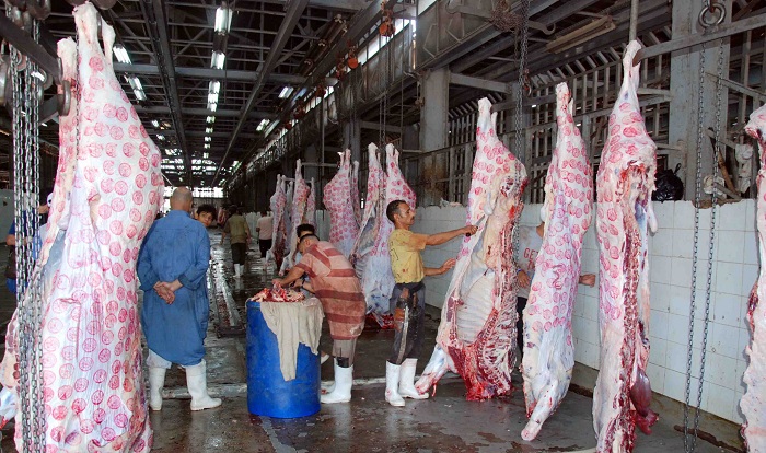 ����� ������ ����� �������� 23 / 12 / 2025 �� �������