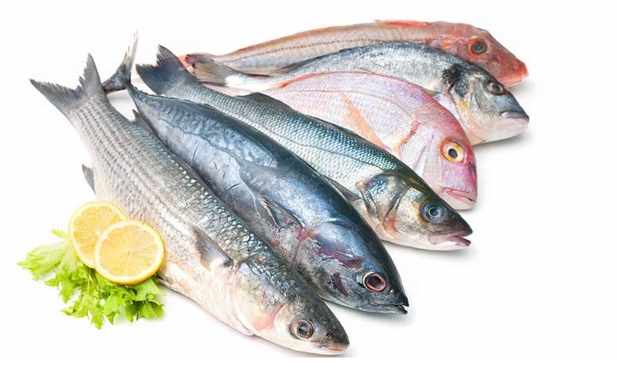 ����� ������� ����� ����� 28 / 12 / 2025 �� ��� ������ ������