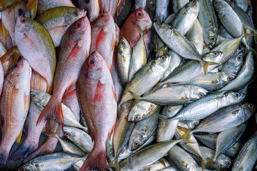 ����� ������� ����� �������� 17 / 3 / 2026 �� ��� ������