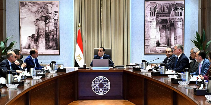 رئيس الوزراء يستعرض جهود تجهيز الشركات الحكومية للطرح وسبل تنشيط البورصة المصرية رئيس الوزراء يستعرض جهود تجهيز الشركات الحكومية للطرح وسبل تنشيط البورصة المصرية