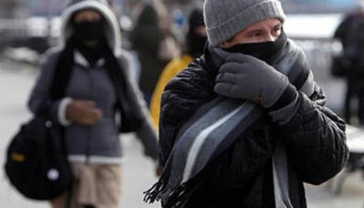 �������: ��� ����� ����� ����� ������� ������ ������ ������� �������� 12 ����