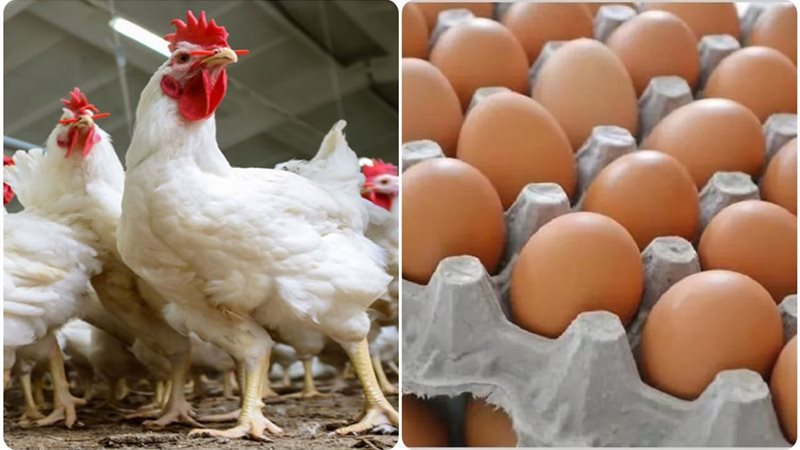 ����� ������� ������ ����� ������� ���� ���� ��� ����� ������� �� �������