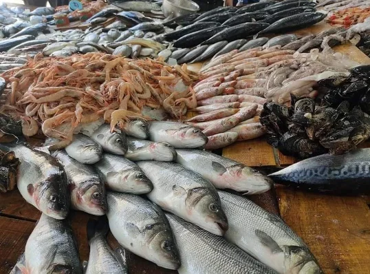 ����� ������� ����� �������� 3 / 3 / 2026 �� ��� ������