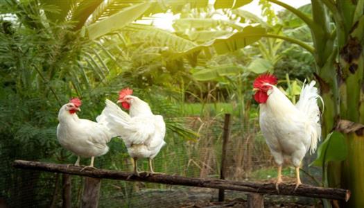 ����� ������� ������ ����� ����� 22 / 2 / 2026 �� �������