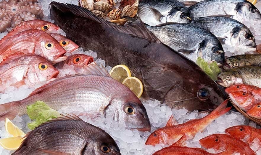 ����� ������� ����� �������� 17 / 12 / 2025 �� ��� ������ ������