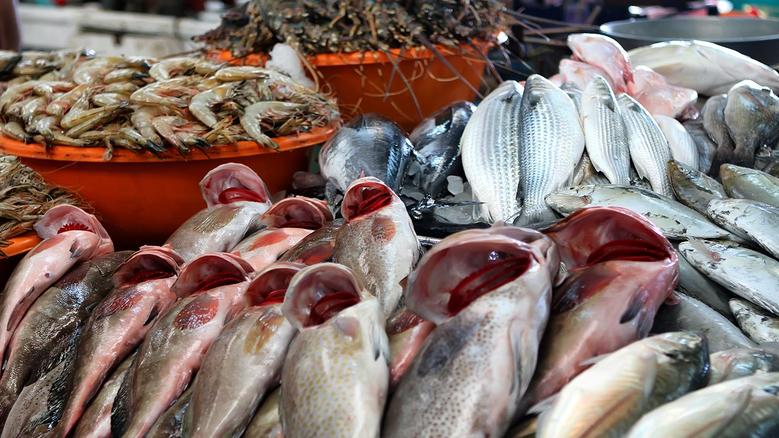 ����� ������� ����� ����� 24 / 1 / 2026 �� ��� ������ ������