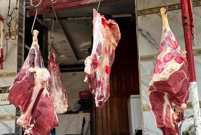 ����� ������ ����� ����� 28 / 2 / 2026 �� �������