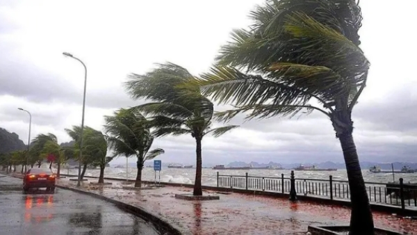 �������: ��� ����� ���� ������ ������ ���� ����� ������� �������� 20 ����