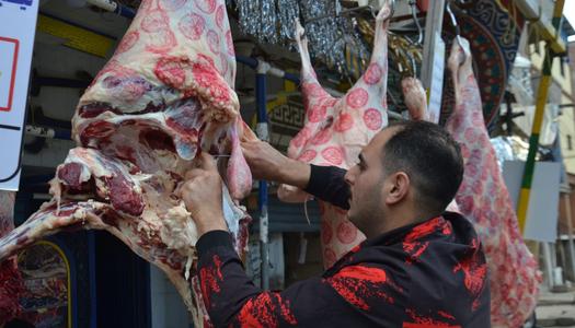 ����� ������ ����� ������� 16 / 3 / 2026 �� �������