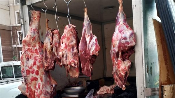 ����� ������ ����� ����� 29 / 3 / 2026 �� �������