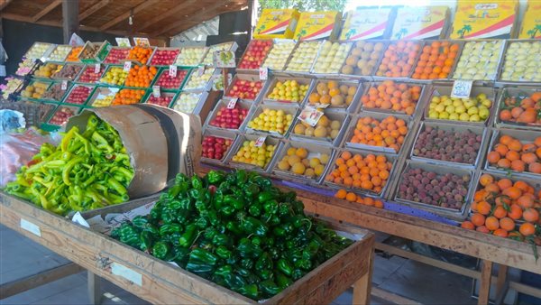 ����� �������� �������� ����� ����� 1 / 2 / 2026 �� ��� ������ ������