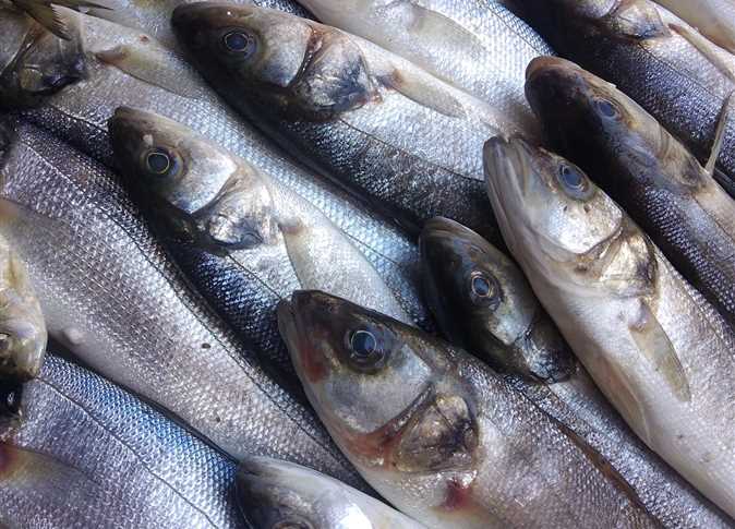 ����� ������� ����� ������ 1 / 1 / 2026 �� ��� ������ ������