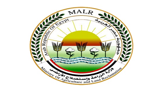 :            ١١  ١