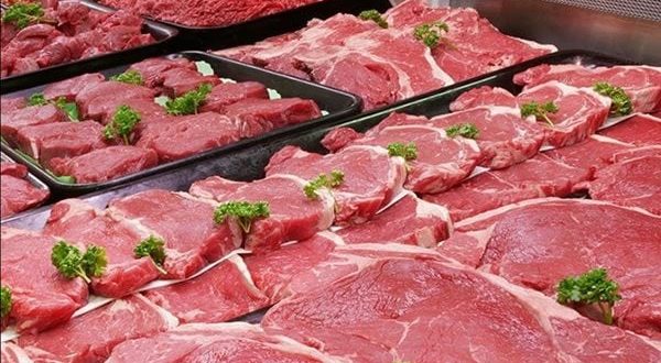 ����� ������ ����� �������� 17 / 3 / 2026 �� �������