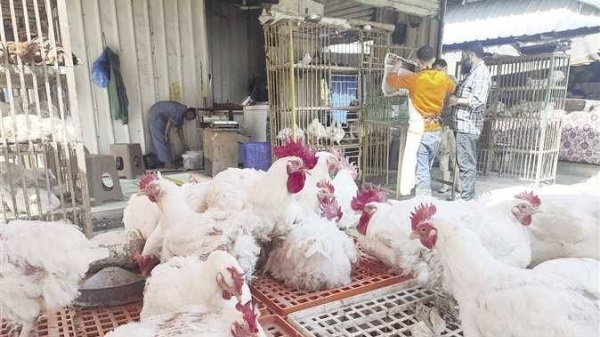 ����� ������� ������ ����� ������ 19 / 2 / 2026 �� �������