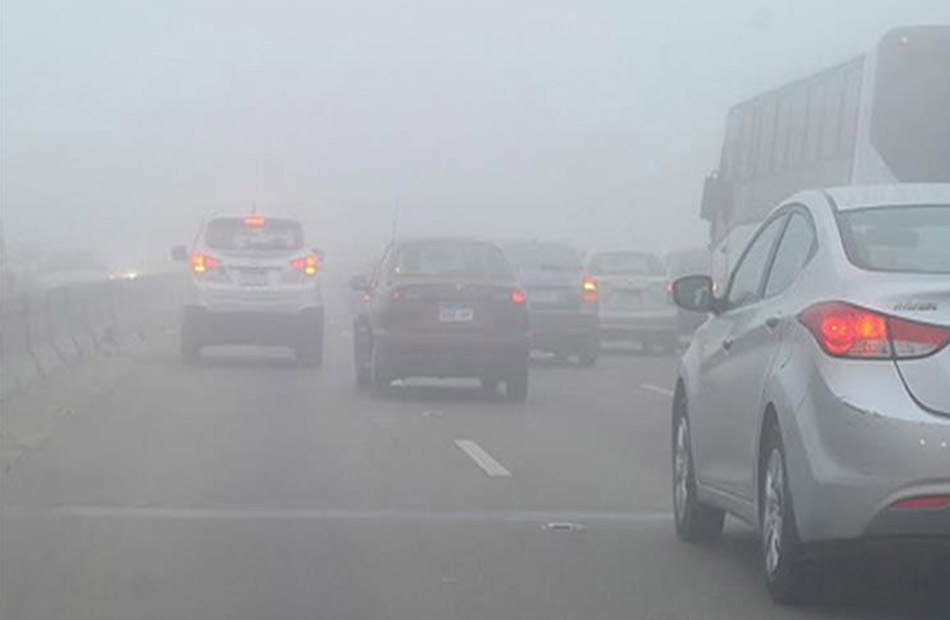 �������: ��� ����� ������ �������� ������ ��� ������ �������� �������� 20 ����