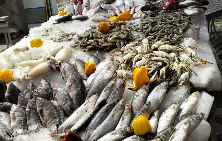 ����� ������� ����� ����� 8 / 3 / 2026 �� �������