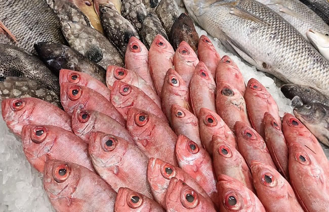 ����� ������� ����� ������� 19 / 1 / 2026 �� ��� ������ ������