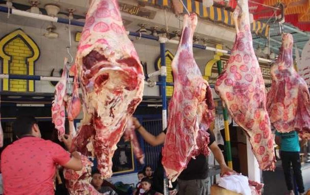 ����� ������ ����� �������� 16 / 12 / 2025 �� �������