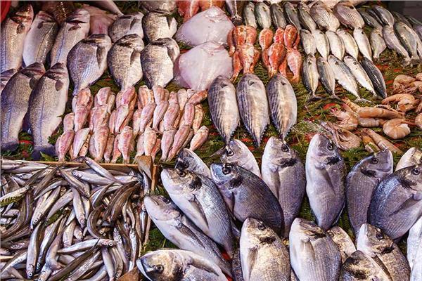 ����� ������� ����� ����� 15 / 3 / 2026 �� ��� ������