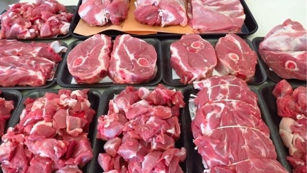 ����� ������ ����� ������ 5 / 2 / 2026 �� �������