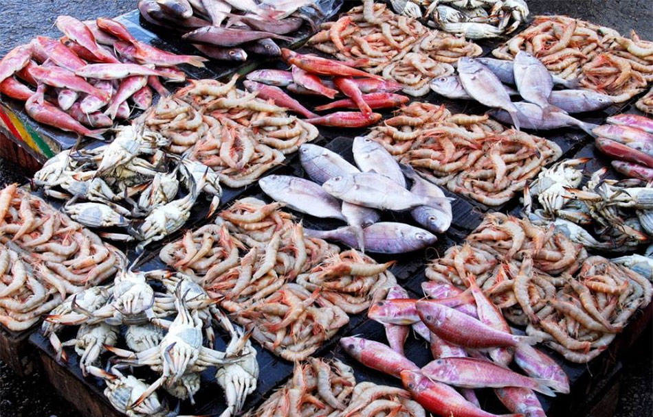 ����� ������� ����� �������� 18 / 3 / 2026 �� ��� ������