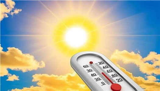 �������: ��� ����� ������� ������ ������� ������ ����� ������� �������� 22 ����