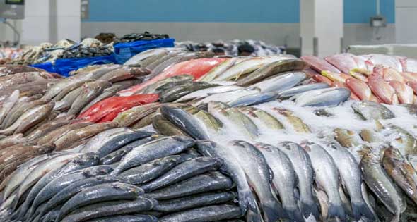 ����� ������� ����� ������� 23 / 2 / 2026 �� ��� ������