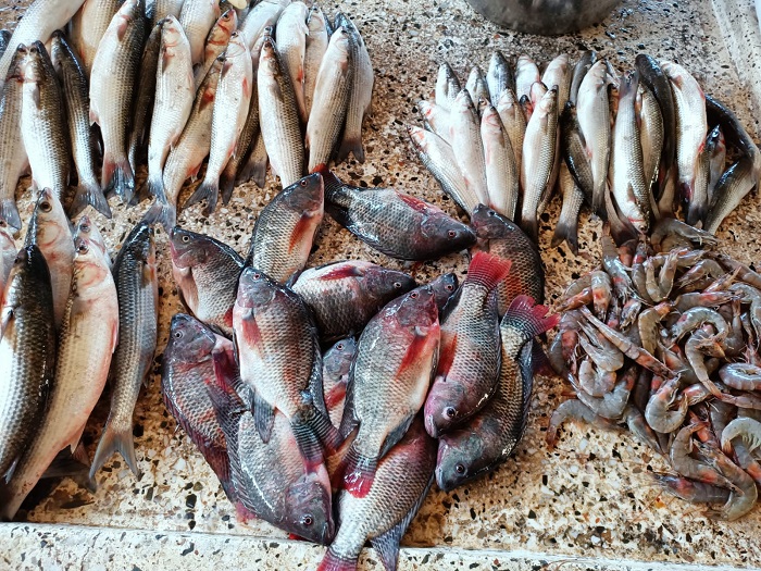 ����� ������� ����� ������ 19 / 2 / 2026 �� ��� ������