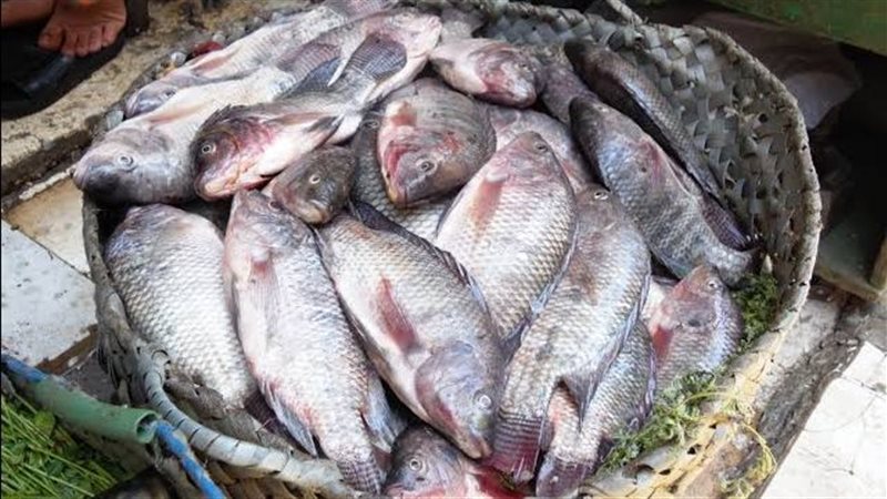 ����� ������� ����� ����� 5 / 4 / 2026 �� ��� ������