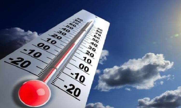 �������: ��� ����� ���� ����� ���� ���� ������ ���� ������� ������� �������� 23 ����