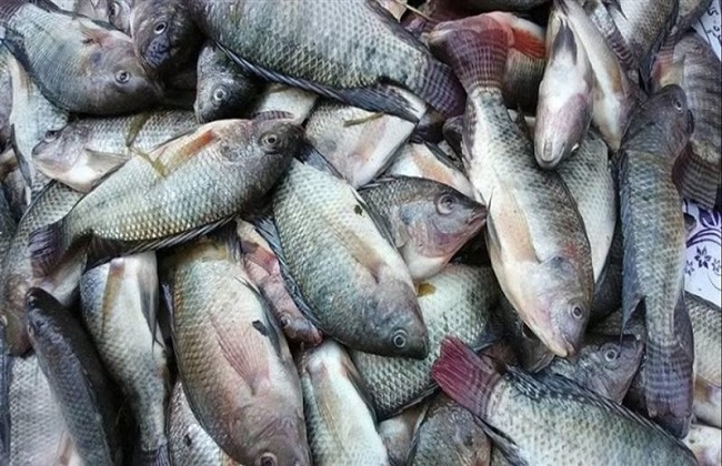 ����� ������� ����� ����� 22 / 2 / 2026 �� �������