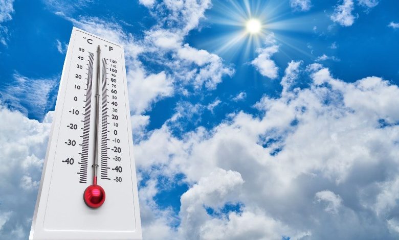 �������: ��� ����� ������ ���� �������� ����� ������� �������� 20 ����