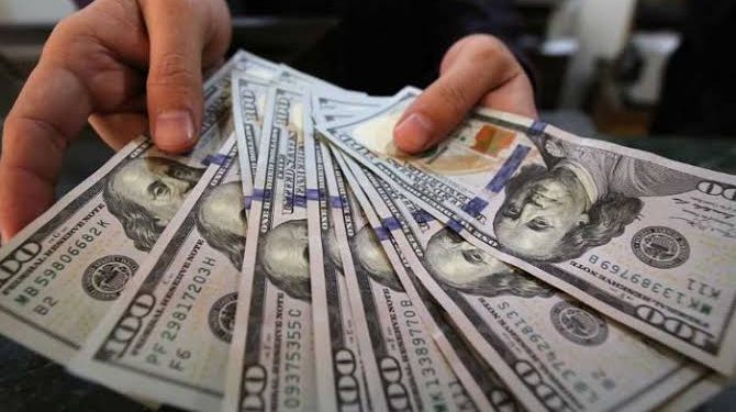 ����� ������� ����� �������� 23 / 12 / 2025 �� ������ �������