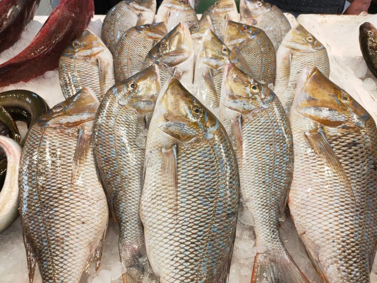 ����� ������� ����� ������� 2 / 3 / 2026 �� ��� ������