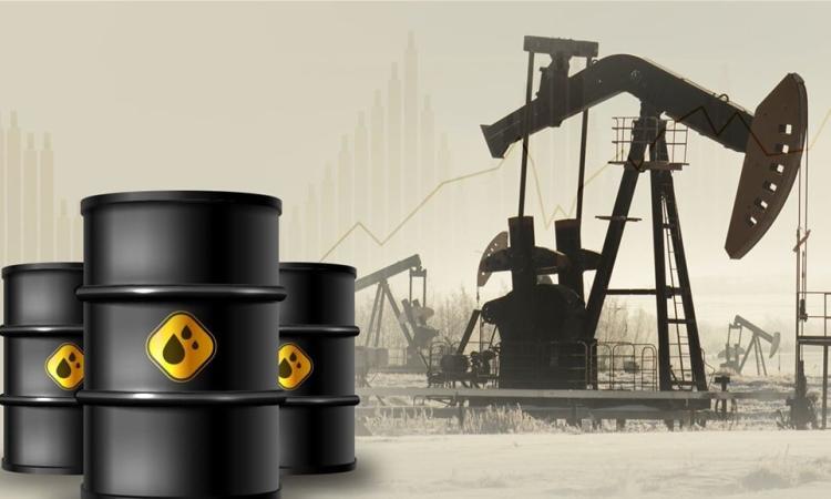 ����� ������ ��� ���� ������� ������ ������ ������ ���������