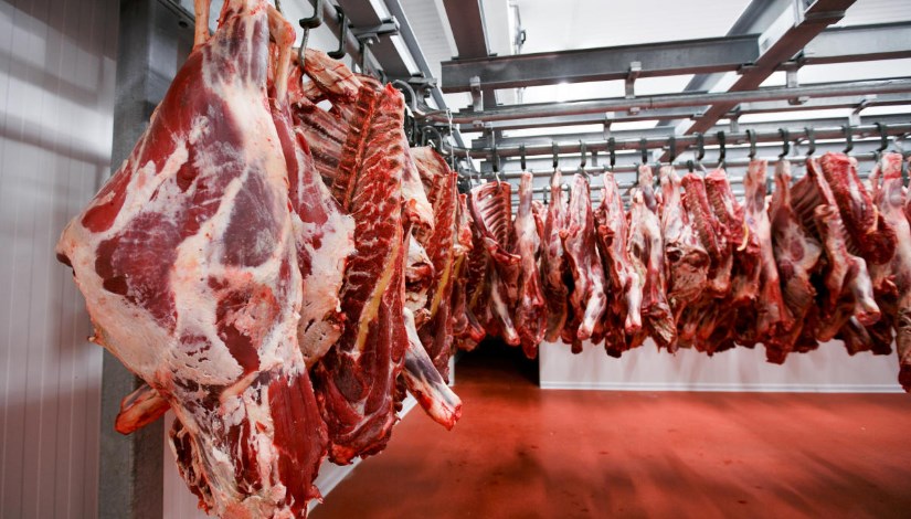 ����� ������ ����� ����� 4 / 1 / 2026 �� �������