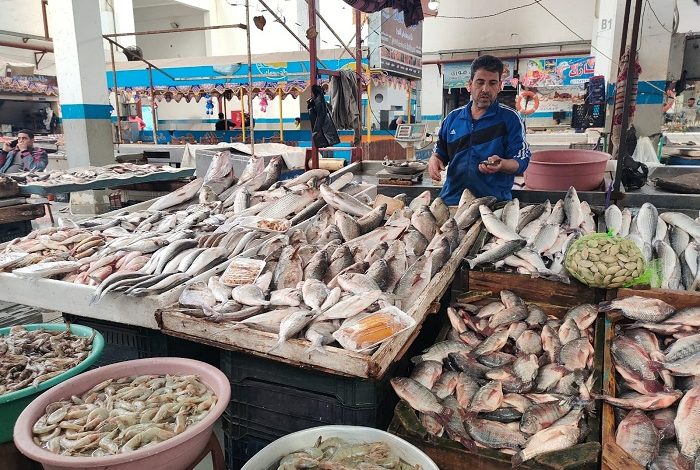 ����� ������� ����� ������� 16 / 3 / 2026 �� ��� ������