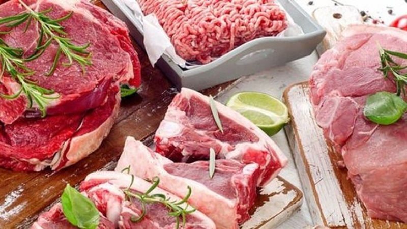 ����� ������ ����� ������� ���� ���� ��� ����� ������� �� �������