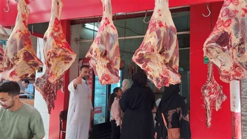 ����� ������ ����� ������ 22 / 1 / 2026 �� �������