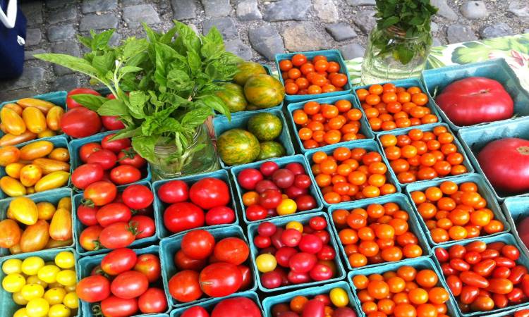 ����� �������� �������� ����� �������� 1 / 4 / 2026 �� ��� ������