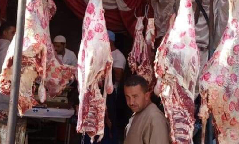 ����� ������ ����� �������� 3 / 2 / 2026 �� �������