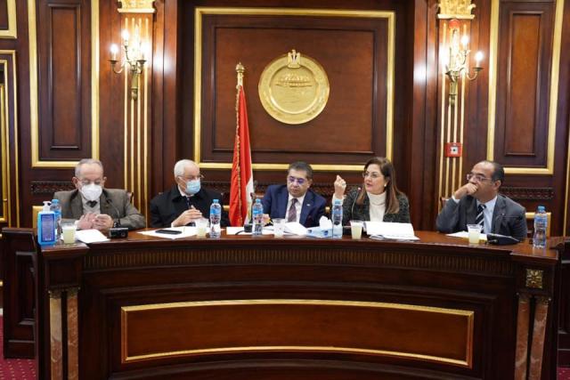 وزيرة التخطيط تستعرض محاور المشروع القومى لتنمية الأسرة المصرية بمجلس الشيوخ